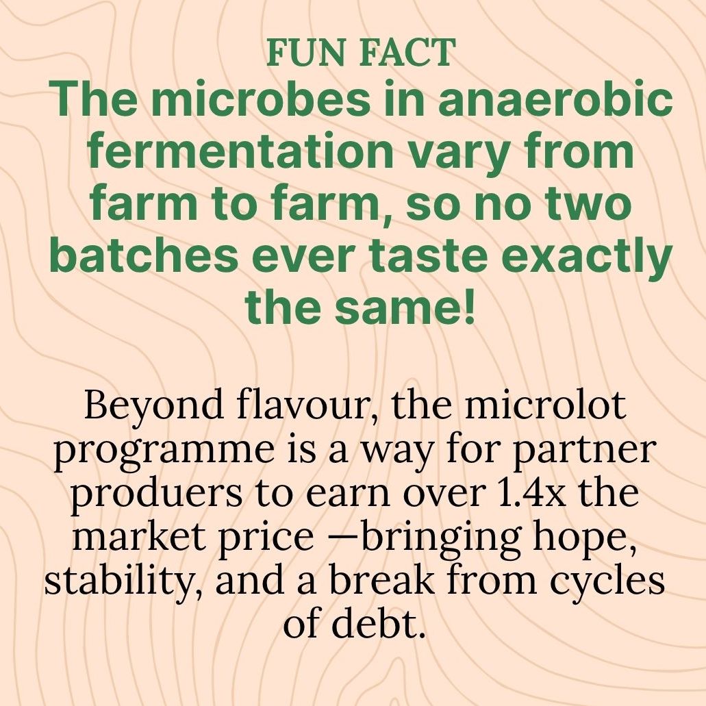 KYC Image 4
