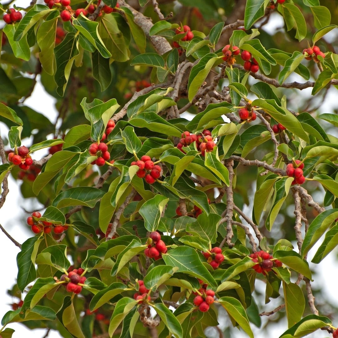 Origin Image 1