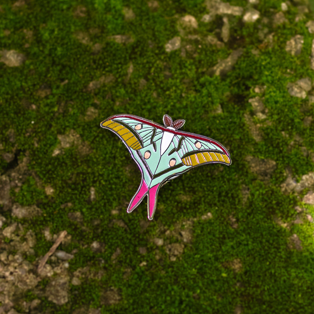 KYC Image 1