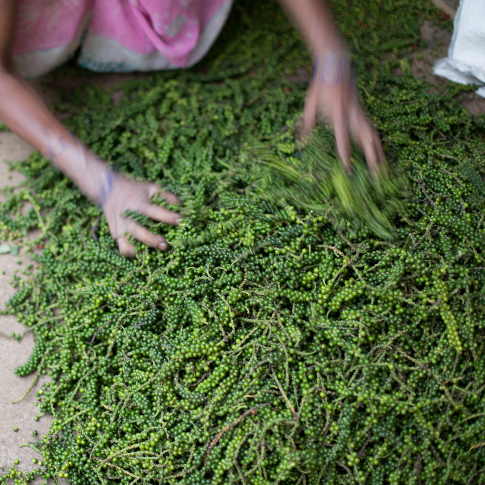 Grower Image 1
